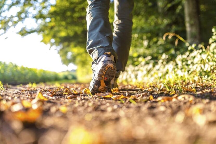 Walking to prevent arthritis